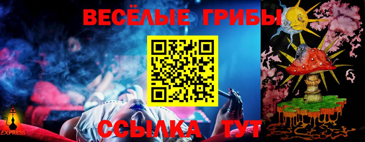 Галлюциногенные грибы Psilocybine cubensis  магазин продажи   Пугачёв  Псилоцибиновые грибы Magic Shrooms  Вход с VPN 