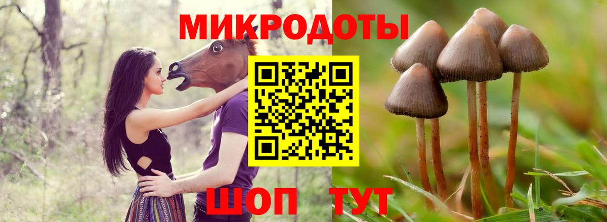 Псилоцибиновые грибы GOLDEN TEACHER Пугачёв